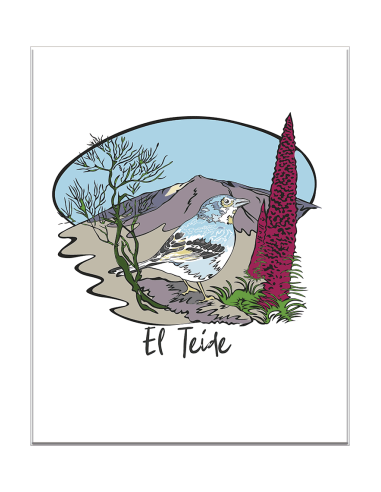 PRODUCTOS DE UN MISMO DISEÑO