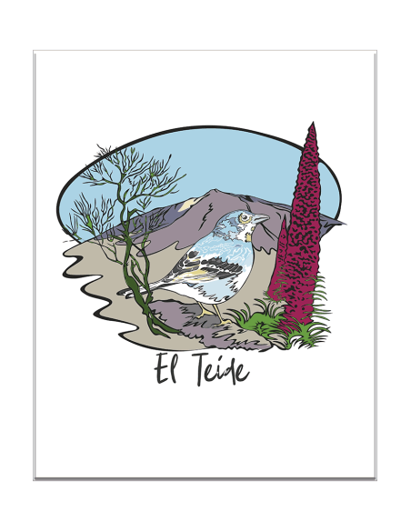 PRODUCTOS DE UN MISMO DISEÑO