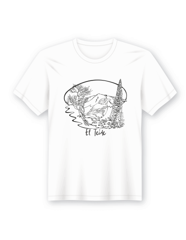 PRODUCTOS DE UN MISMO DISEÑO