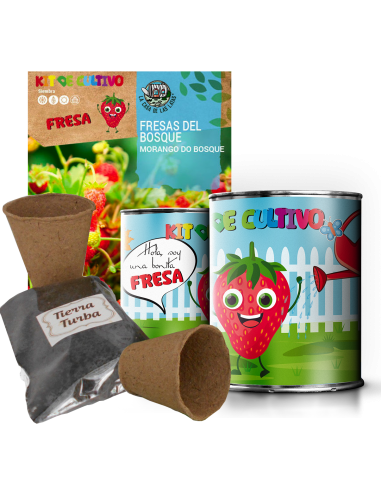 Kit de cultivo Cebollino en lata