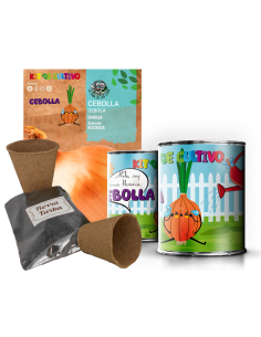 Kit de cultivo Perejil en lata