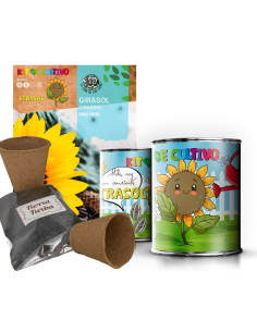 Kit de cultivo Cilantro en lata