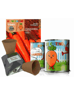 Kit de cultivo Girasol en lata