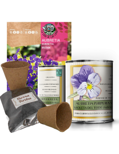 Kit de cultivo Cactus en lata