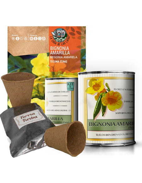 Kit de cultivo flores Campestre en lata