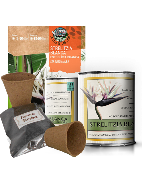 Kit de cultivo Tomate Cherry en lata